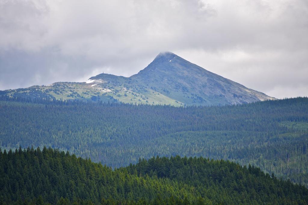 Jasper Way Inn Resort & Campground クリアウォーター エクステリア 写真
